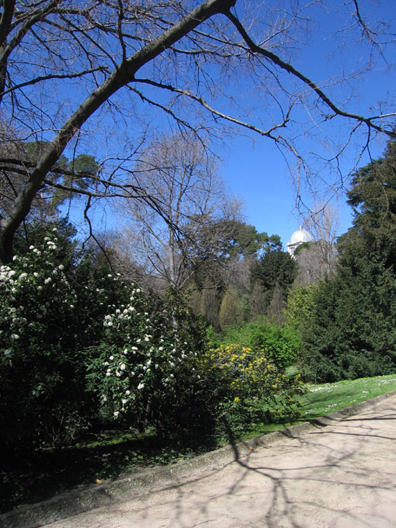 Foto de Madrid (Comunidad de Madrid), España