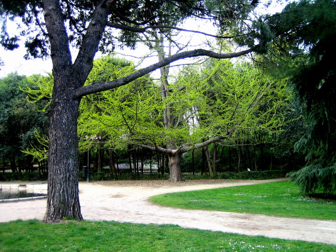 Foto de Madrid (Comunidad de Madrid), España