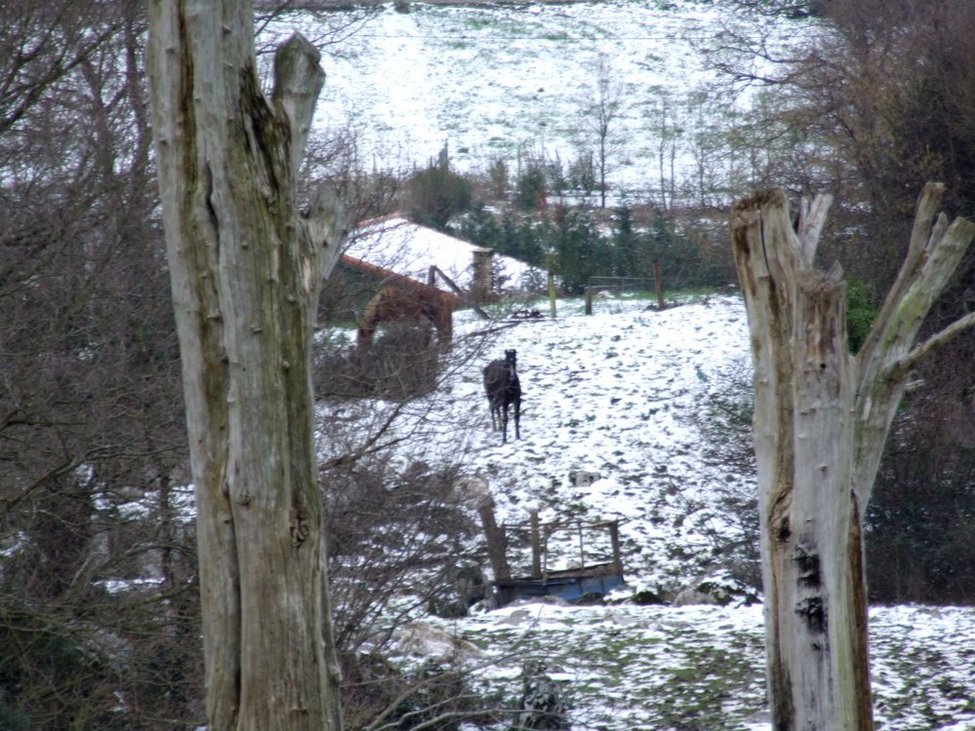 Foto de Santiago de Heras (Cantabria), España