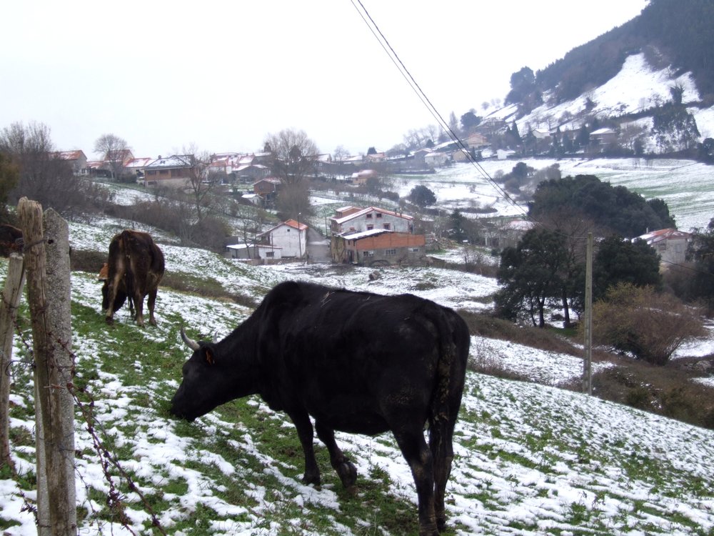 Foto de Santiago de Heras (Cantabria), España