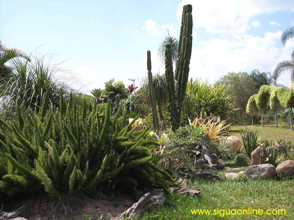 Foto de Siguatepeque, Honduras