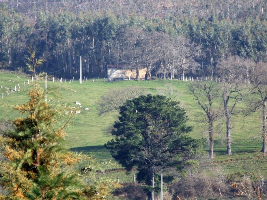 Foto de Lloreda de Cayon (Cantabria), España