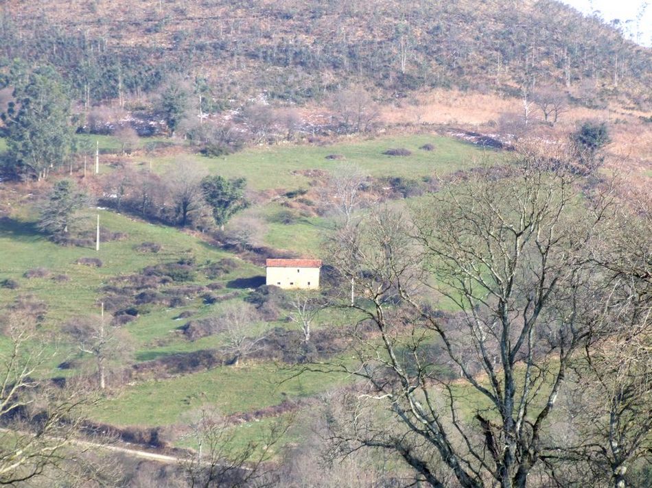 Foto de Lloreda de Cayon (Cantabria), España