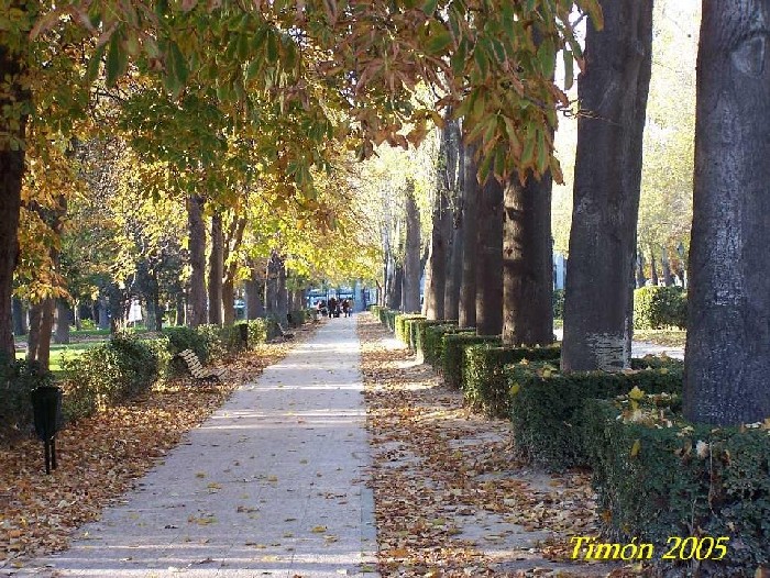 Foto de Madrid (Comunidad de Madrid), España