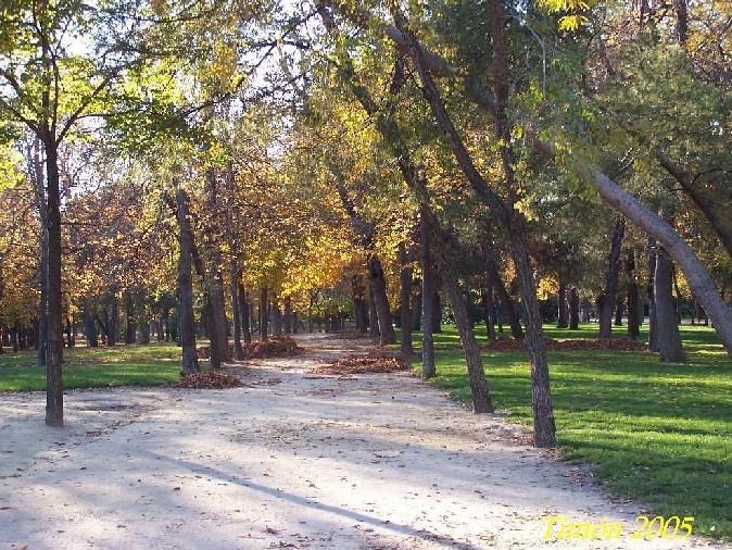 Foto de Madrid (Comunidad de Madrid), España