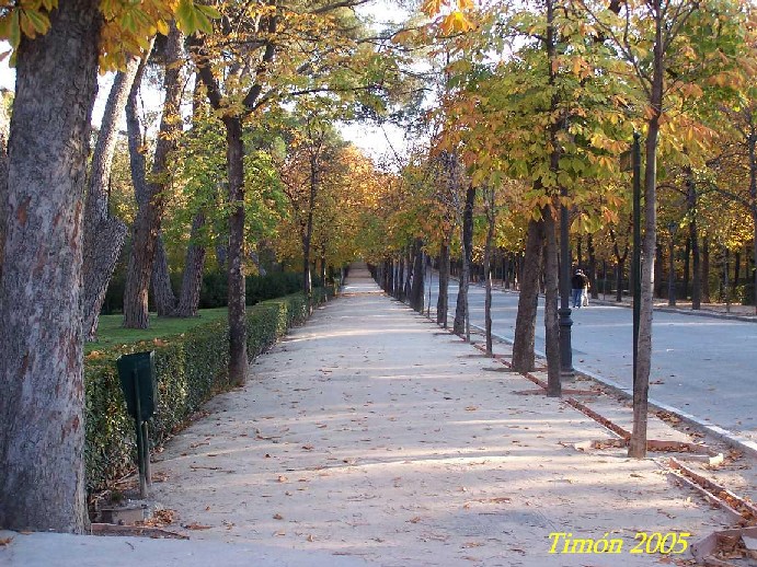 Foto de Madrid (Comunidad de Madrid), España