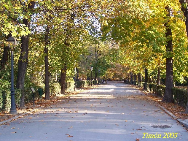 Foto de Madrid (Comunidad de Madrid), España