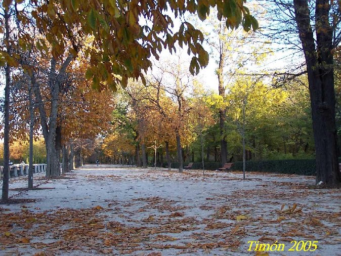 Foto de Madrid (Comunidad de Madrid), España