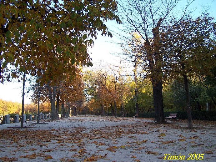 Foto de Madrid (Comunidad de Madrid), España