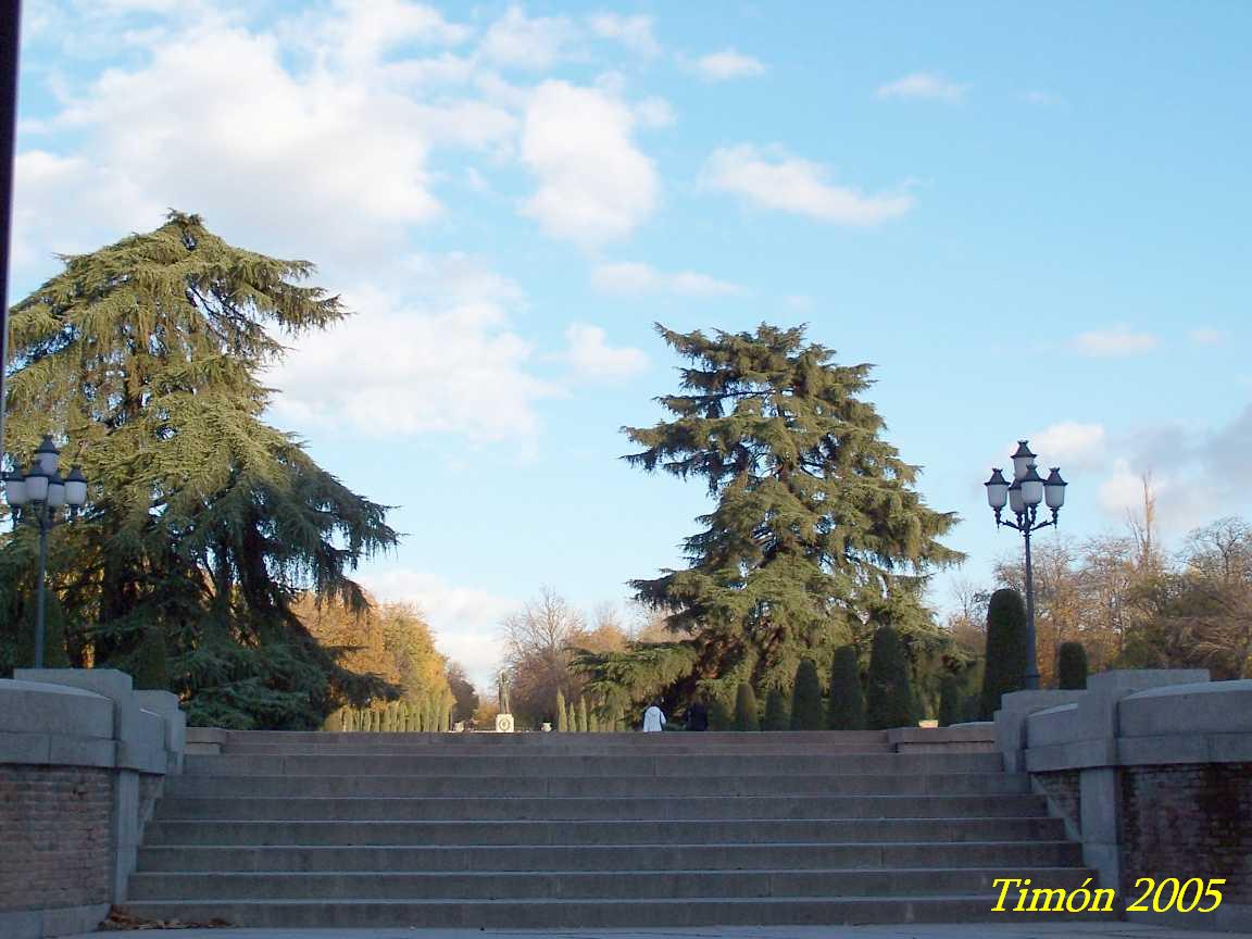 Foto de Madrid (Comunidad de Madrid), España