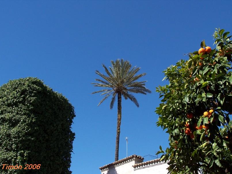 Foto de Sevilla (Andalucía), España