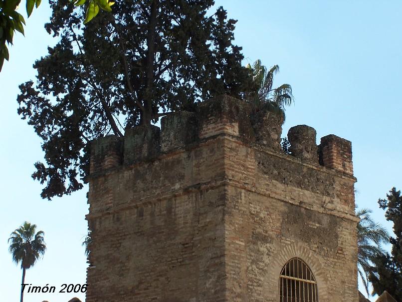 Foto de Sevilla (Andalucía), España