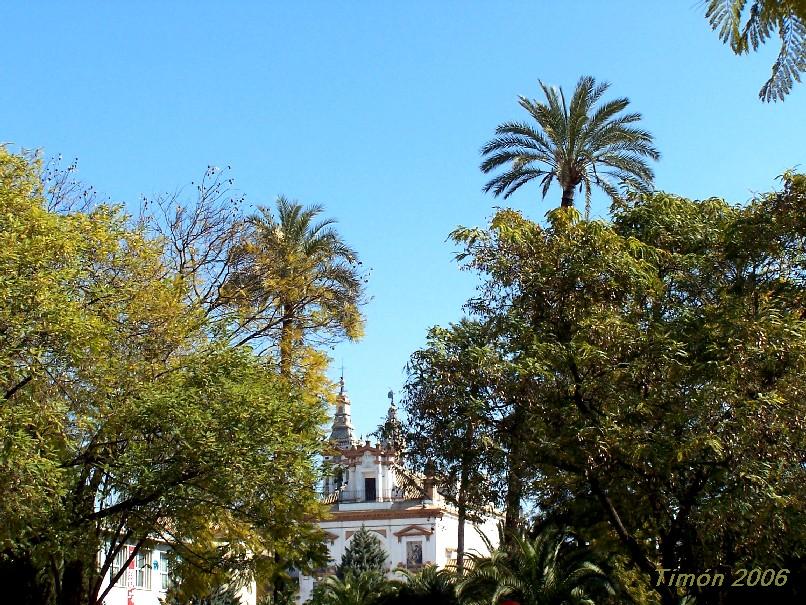 Foto de Sevilla (Andalucía), España