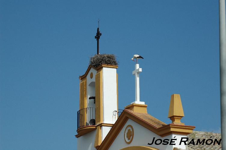 Foto de Jerez  de la Frontera (Cádiz), España