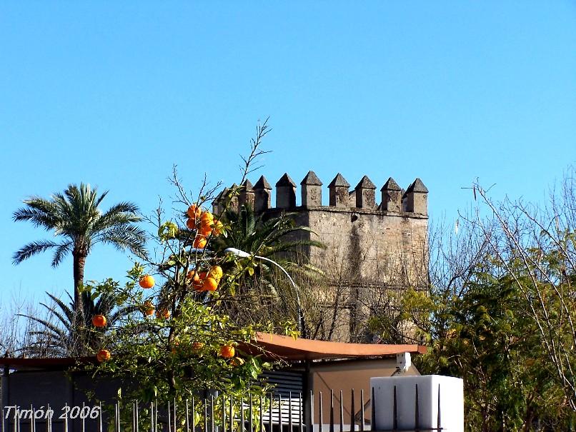 Foto de Sevilla (Andalucía), España