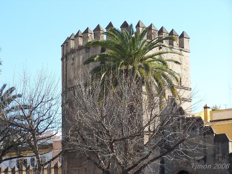 Foto de Sevilla (Andalucía), España