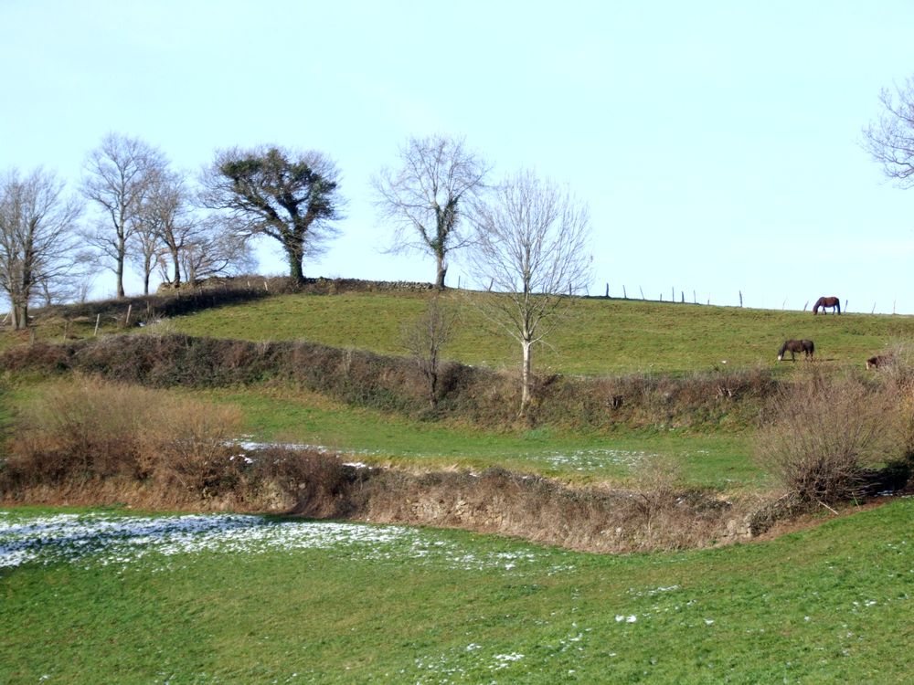 Foto de Esles de Cayon (Cantabria), España