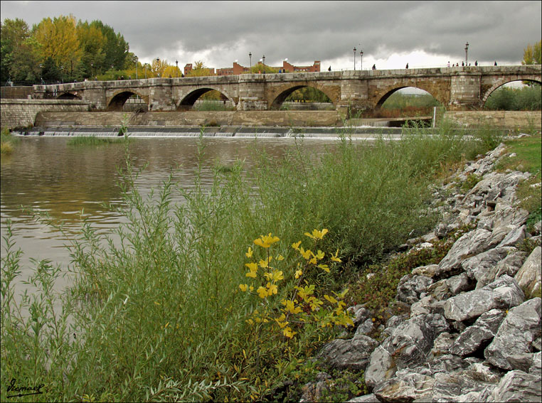 Foto de León (Castilla y León), España