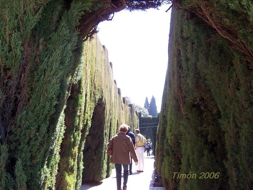 Foto de Granada (Andalucía), España