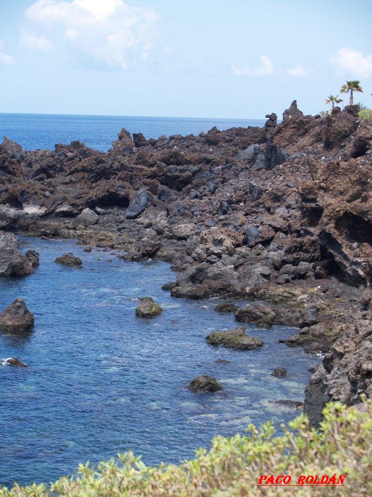 Foto de Tenerife (Santa Cruz de Tenerife), España