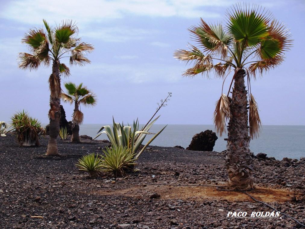 Foto de Tenerife (Santa Cruz de Tenerife), España