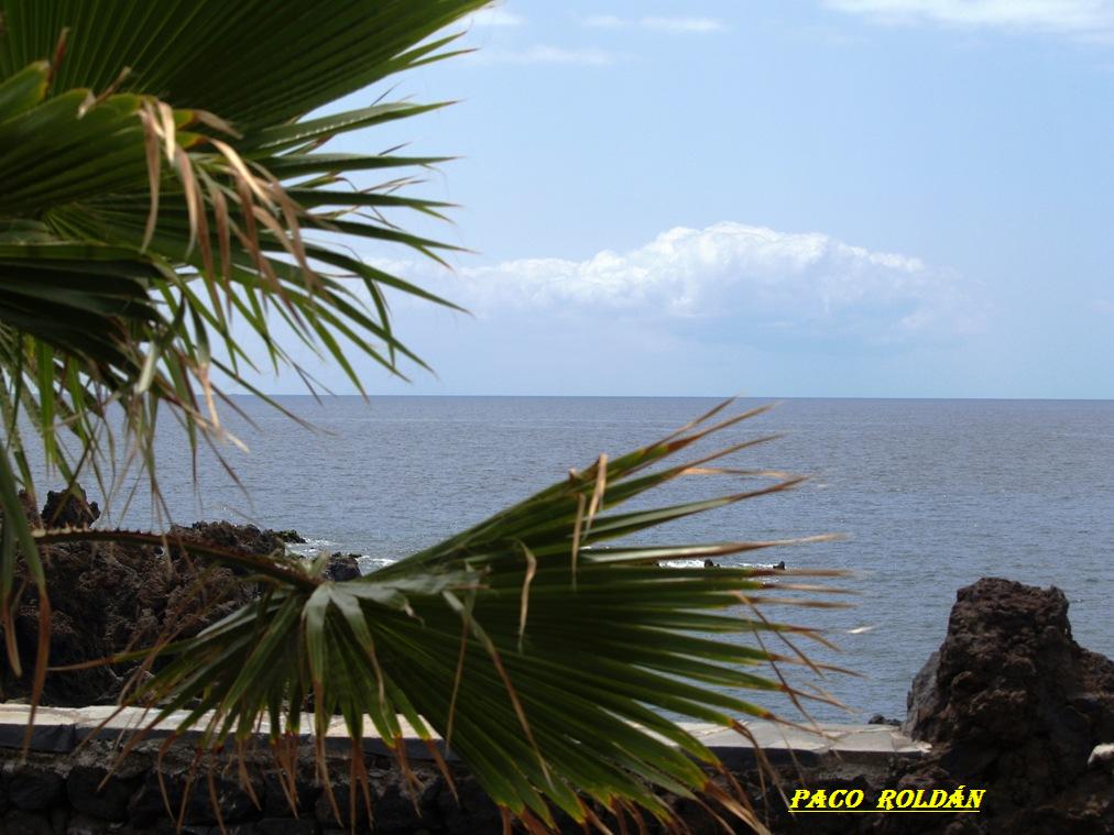 Foto de Tenerife (Santa Cruz de Tenerife), España