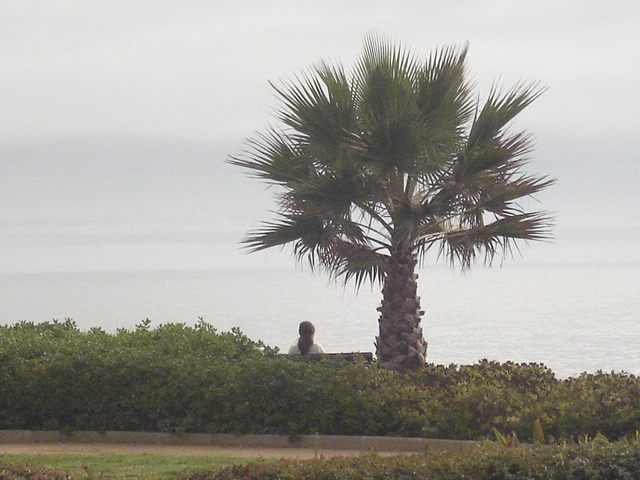 Foto de VIÑA DEL MAR, Chile