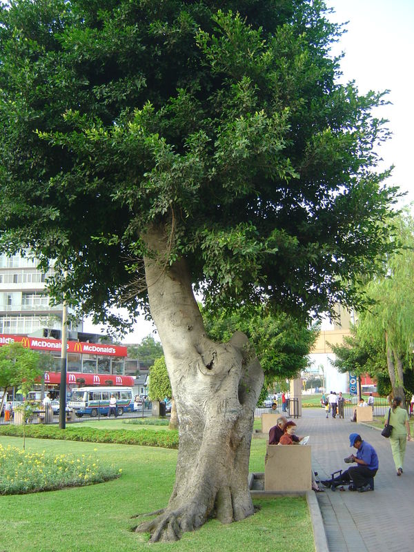 Foto de Lima, Perú