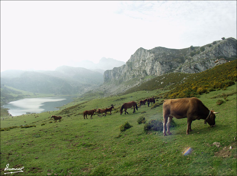 Foto de Covadonga (Asturias), España