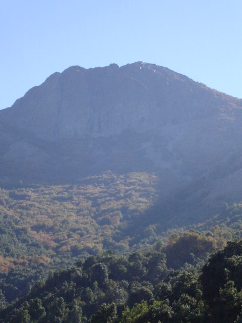 Foto de OLMUE, Chile