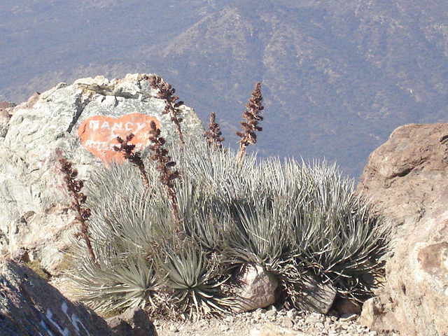 Foto de OLMUE, Chile