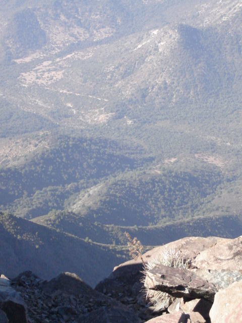 Foto de OLMUE, Chile