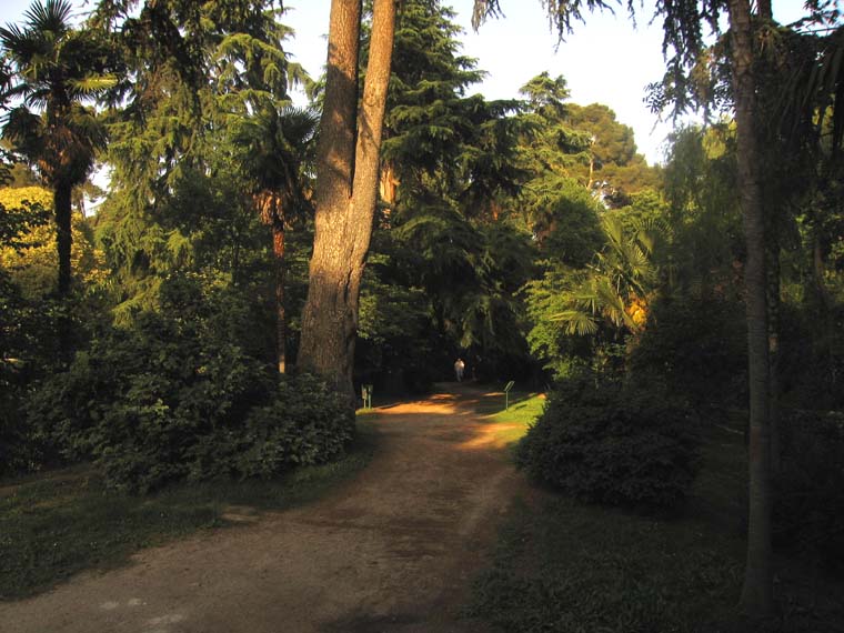 Foto de Madrid (Comunidad de Madrid), España