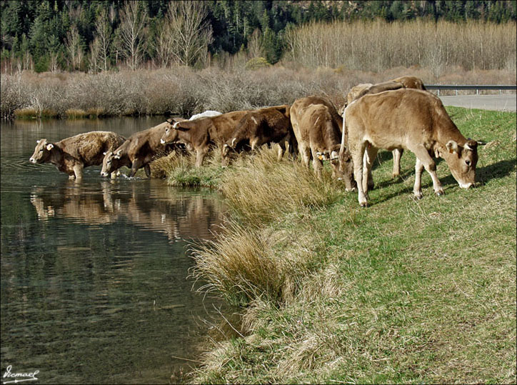 Foto de Bielsa (Huesca), España