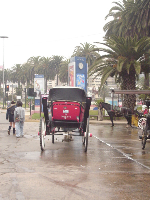 Foto de VIÑA DEL MAR, Chile