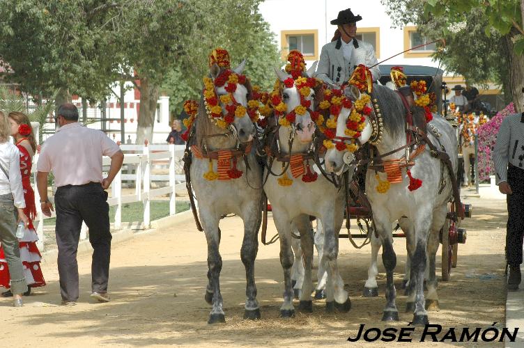 Foto de Jerez  de la Frontera (Cádiz), España