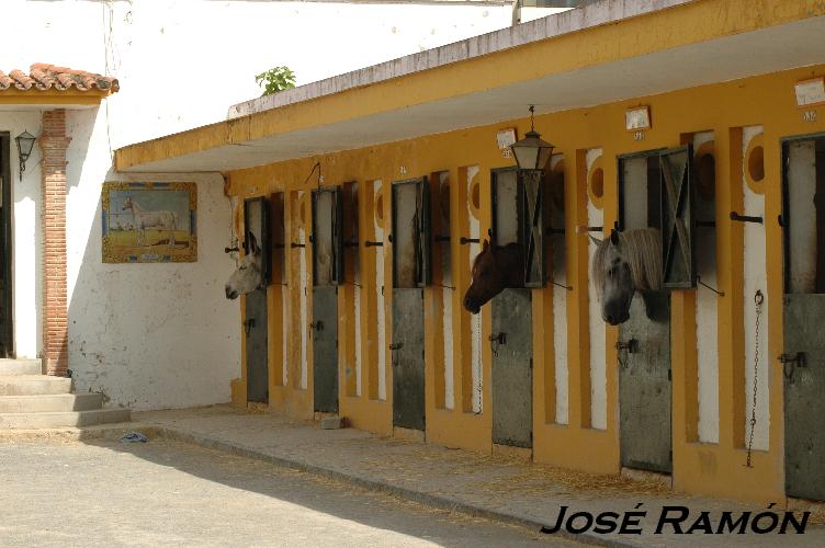 Foto de Jerez  de la Frontera (Cádiz), España