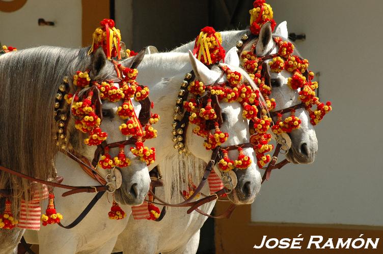 Foto de Jerez  de la Frontera (Cádiz), España