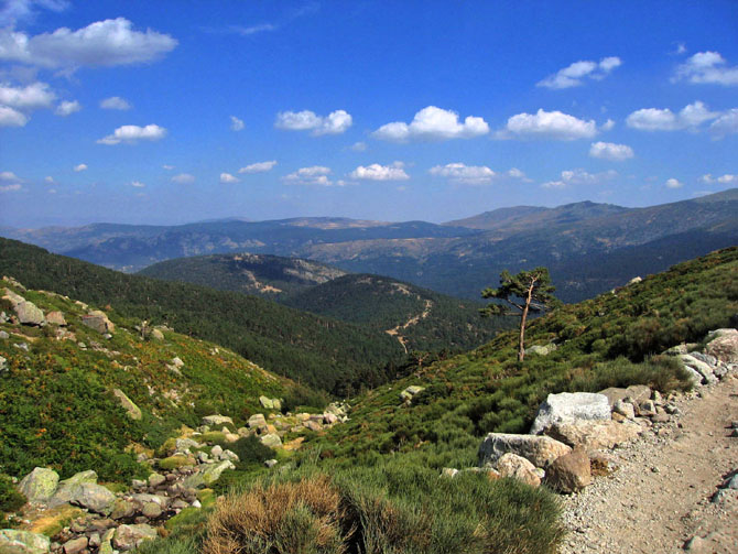 Foto de Madrid (Comunidad de Madrid), España