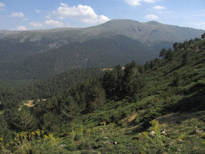 Foto de Madrid (Comunidad de Madrid), España