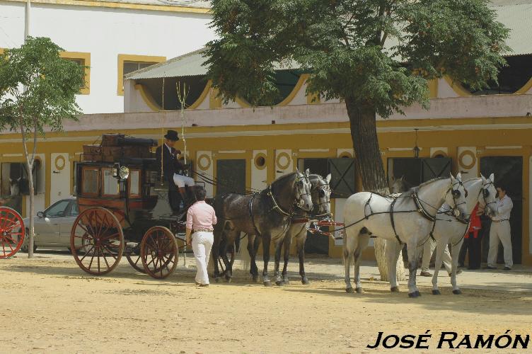 Foto de Jerez  de la Frontera (Cádiz), España