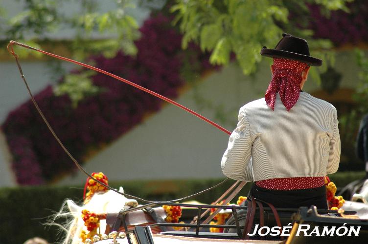 Foto de Jerez  de la Frontera (Cádiz), España