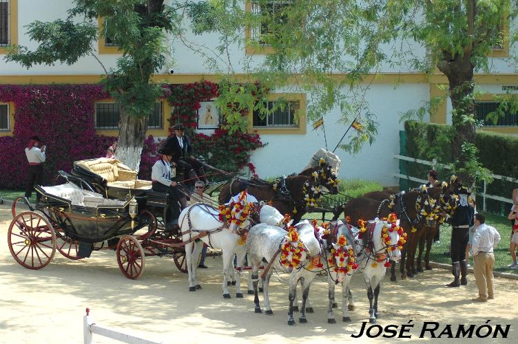 Foto de Jerez  de la Frontera (Cádiz), España