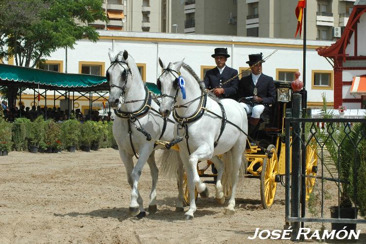 Foto de Jerez  de la Frontera (Cádiz), España