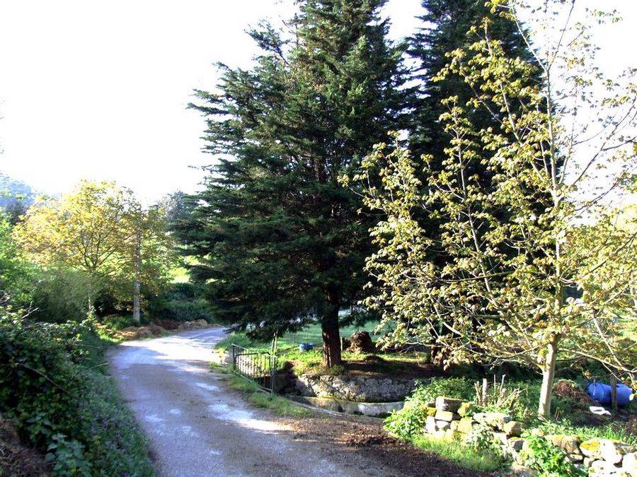 Foto de Arenal de Penagos (Cantabria), España