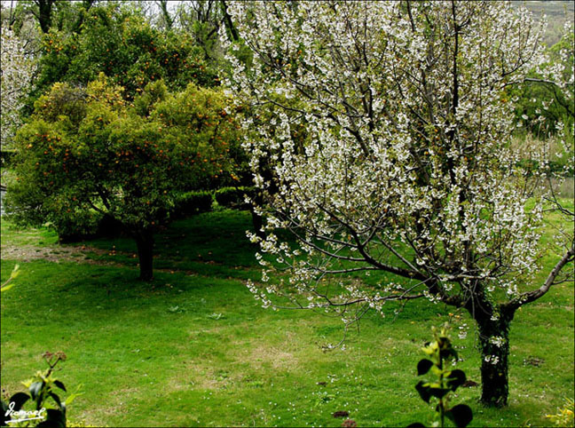 Foto de Cuacos (Cáceres), España