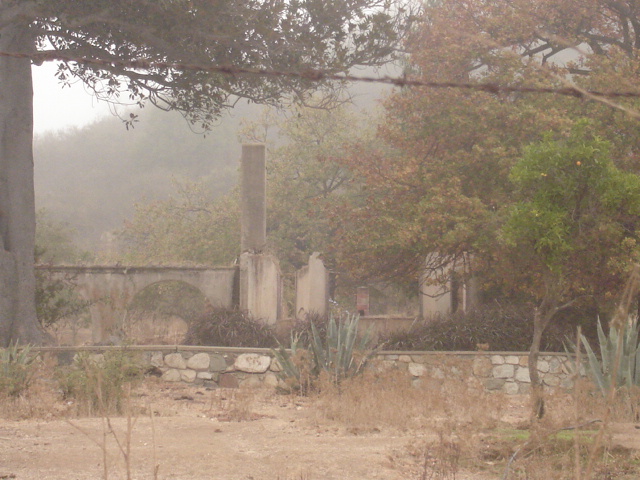 Foto de QUILPUE, Chile