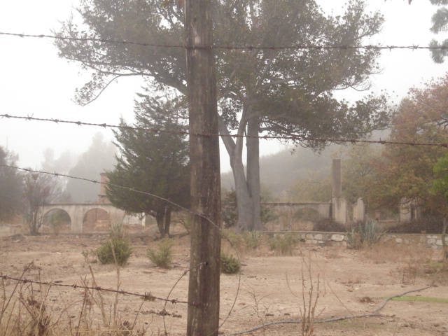 Foto de QUILPUE, Chile