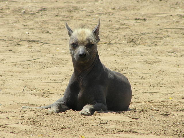 Foto de TRUJILLO, Perú