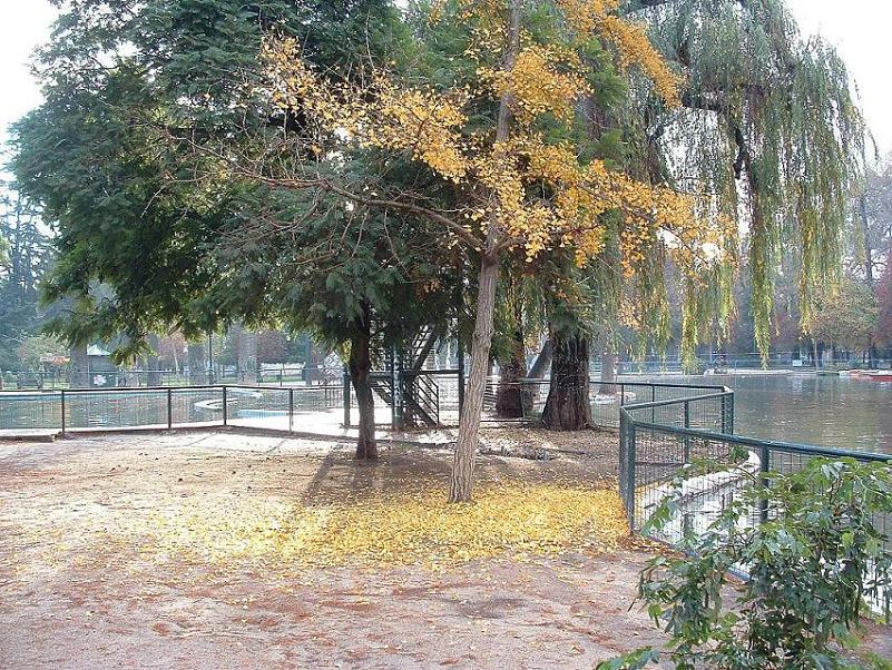 Foto de Santiago, Chile